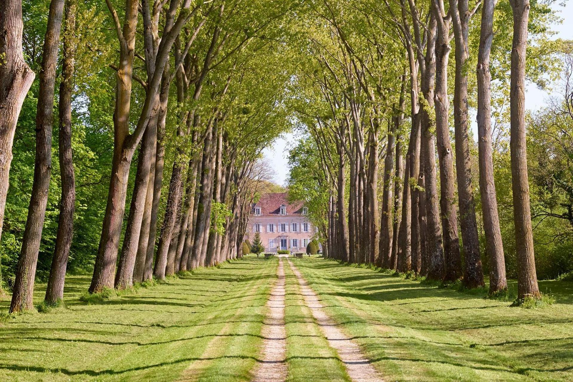 Chateau De Quincey Buitenkant foto